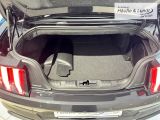 FORD Mustang GT Convertible 5.0 Ti-VCT V8 EU6d-T Faltdach Navi Leder Soundsystem B & O Klimasitze