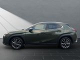 LEXUS UX 300h*F-Sport-D.*15J-GARANTIE *TOTW.*INDUKT.*