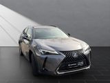 LEXUS UX 250H*SCHECKHEFT*TOTW*LEDER*