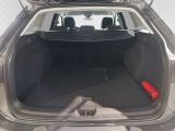 VW Golf VIII Life 2.0 TDI NAVI+SITZHZ+PDC+CARPLAY