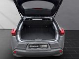LEXUS UX 250 h*STYLE*CARPLAY*PDC*15 JAHRE GARANTIE