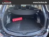 TOYOTA RAV 4 Edition-S 2.0 4x2*KAMERA *SCHIEBED.*SHZ*15