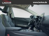 LEXUS NX 350h 243 PS Luxury 4x4, Panoramaglasdach