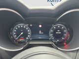 ALFA ROMEO Stelvio Quadrifoglio Q4 Panorama Glasschiebedach