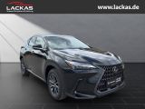 LEXUS NX 350h h 243 PS Executive *15-J ahre Garantie* 