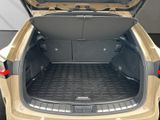 LEXUS NX 350h Overtrail 4x4 Panorama Dach 350h Overtra
