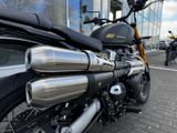 TRIUMPH Scrambler 900 MY26 Sofort Verfügbar!