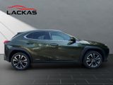 LEXUS UX 250h STYLE SHZ+KAMERA+PDC+LED+DAB+CARPLAY+18"