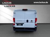 FIAT Ducato Kasten 30 120 L1H1 RS 3 000 mm Multijet D
