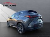 LEXUS NX 350h 4x4 Luxury IPA+360KAMERA+SITZH.HINTEN