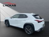 LEXUS UX 300 h F-Sport Design Technologie-Paket