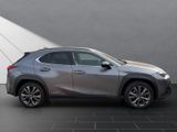 LEXUS UX 250H*SCHECKHEFT*TOTW*LEDER*
