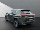 LEXUS UX 250h*STYLE*1HD*CARPLAY*