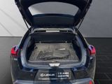 LEXUS UX 250h Style SHZ Kamera Alu