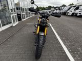 TRIUMPH Scrambler 400 X Sofort Verfügbar