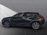 LEXUS UX 250 h F-Sport Design Allwetter