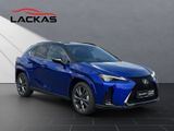 LEXUS UX 300h F-Sport E FOUR Schiebedach+360°+LEDER