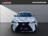 LEXUS UX 300h F-SPORT DESIGN*TOTW*FA CELIFT*GARANTIE*