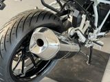 BMW R 1250 R 3-Pakete+Style-Sport+Gepäckbrücke+