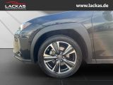 LEXUS UX 250h 250 h 250h*LED*KAMERA* TOP*TWW*DAB*SERVI