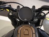 Harley Davidson Sportster S Zard Sozius Seitl. KZ Halter