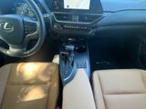 LEXUS UX 250 h F-Sport Design NAVI+CARPLAY+LENKRADH.