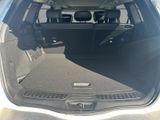 RENAULT Koleos 4x4  AWD+AHK abn.+PDC+RfK+SHZ