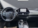 LEXUS UX 250h F Sport Design NAVI+KAMERA+ACC+LED+18"