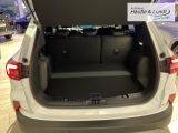 FORD Kuga Plug-In Hybrid Titanium LED Navi Rückfahrkam.