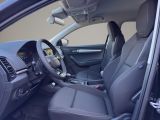SKODA Karoq Balance Klima Rückfahrkamera Sitzheizung