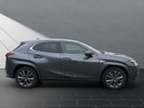 LEXUS UX 250 h F SPORT