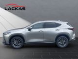 LEXUS NX 450h + Executive Interieur + Technologie Pano