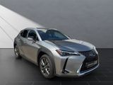 LEXUS UX 250h*EXECUTIVE*PREM* SCHIEBED.*15J-GARANTIE