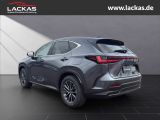 LEXUS NX 350h Executive Interieur+Technologie Paket