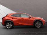 LEXUS UX 250h*F-SPORT-D*1.HD*ALLW.REIF** 15J-GARANTIE*