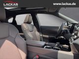 LEXUS RX 450 h E-FOUR*F-SPORT*DESIGN* PANO*INKL.AHK*
