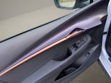 CUPRA Tavascan Endurance Navi LED Drive Paket Wärmepumpe