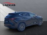 LEXUS NX450H+ Executive Panorama