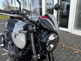 TRIUMPH Trident 800 NEU! 115PS Quick-Shifter