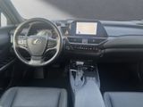 LEXUS UX 250h F-SPORT Design ALLWETTER+1.Hand