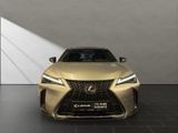 LEXUS UX 250h*F-SPORT-D.*1HD*NAVI*LEDER* 15J-GARANTIE*