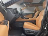 LEXUS NX 450h +EXECUTIVE+PANO+TECH-INTE-P 15J-GARANTIE