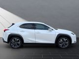 LEXUS UX 250 h Style Edition*Navi*11J.Garantie*