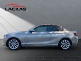 BMW 220 CABRIO 220 d*NAVI*KAMERA*LEDER