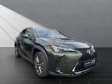 LEXUS UX 250h*F-SPORT-D*1.HD*ALLW.REIF*NAVI*SHZ*