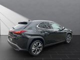 LEXUS UX 250h*STYLE*1HD*CARPLAY* 15J-GARANTIE*