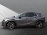 LEXUS UX 250H*SCHECKHEFT*TOTW*LEDER*