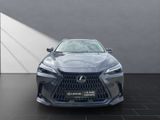 LEXUS NX 350h 350h Business Line Sitzklima Connect, 36