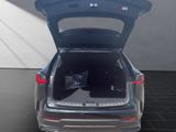 LEXUS NX 350h h 243 PS Executive Inter ieur Paket + Te