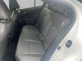 LEXUS UX 250h*FSPORT-D.*1.HD*ALLW.REIF** 15J-GARANTIE*